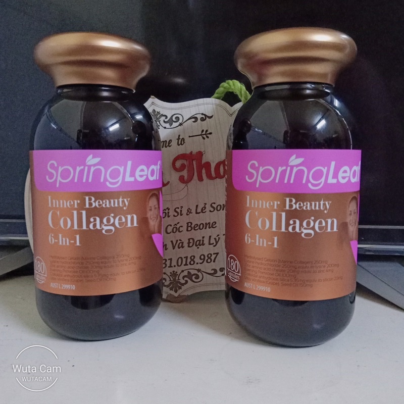 Collagen Springleaf 6 in 1 - 90 viên, 180 viên Úc - Viên Spring leaf inner beauty colagen 6-IN-1 advance