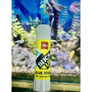 Hồ khô deli stick up 7101 [ Free ship đơn từ 50K]