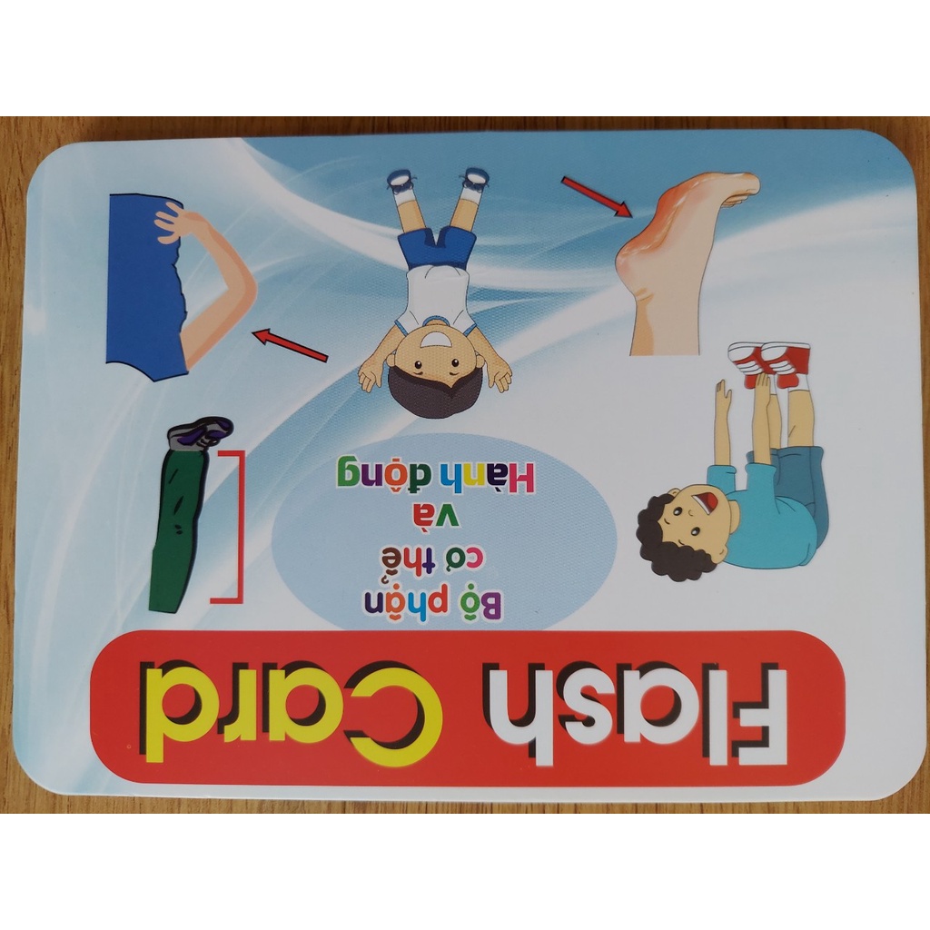 Thẻ học thông minh kích thước lớn 12x16cm chủ đề bộ phận cơ thể -  Flashcard TGXQ Glenn doman chuẩn