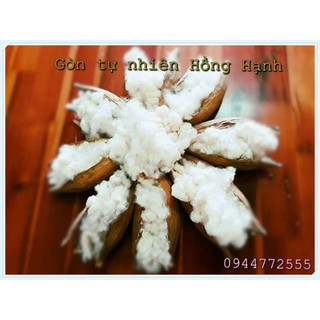 trái bông gòn. /1kg