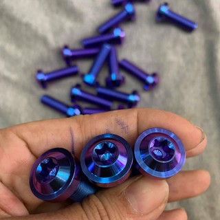 Ốc Titanium GR5 10 ly 3 phân