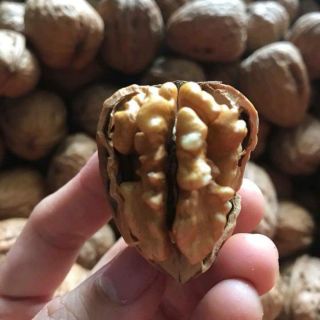 quả óc chó mỹ Walnuts túi 500gr và 100gr hạnh nhân