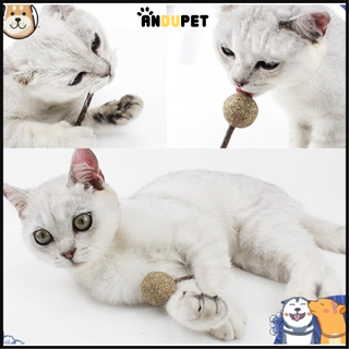 Kẹo que catnip cho mèo