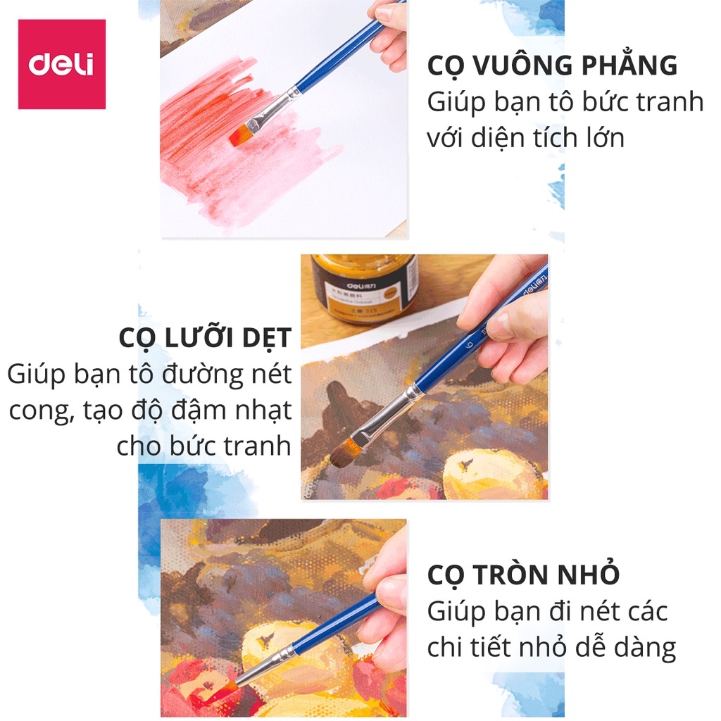Bộ cọ vẽ chuyên nghiệp Deli - dùng cho màu nước/bột/sơn acrylic -Set 4/6 cây- 73885/73866/73867