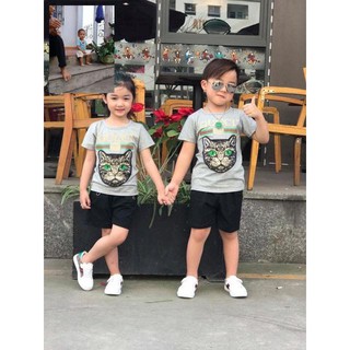 combo  Bộ guci mèo huy89