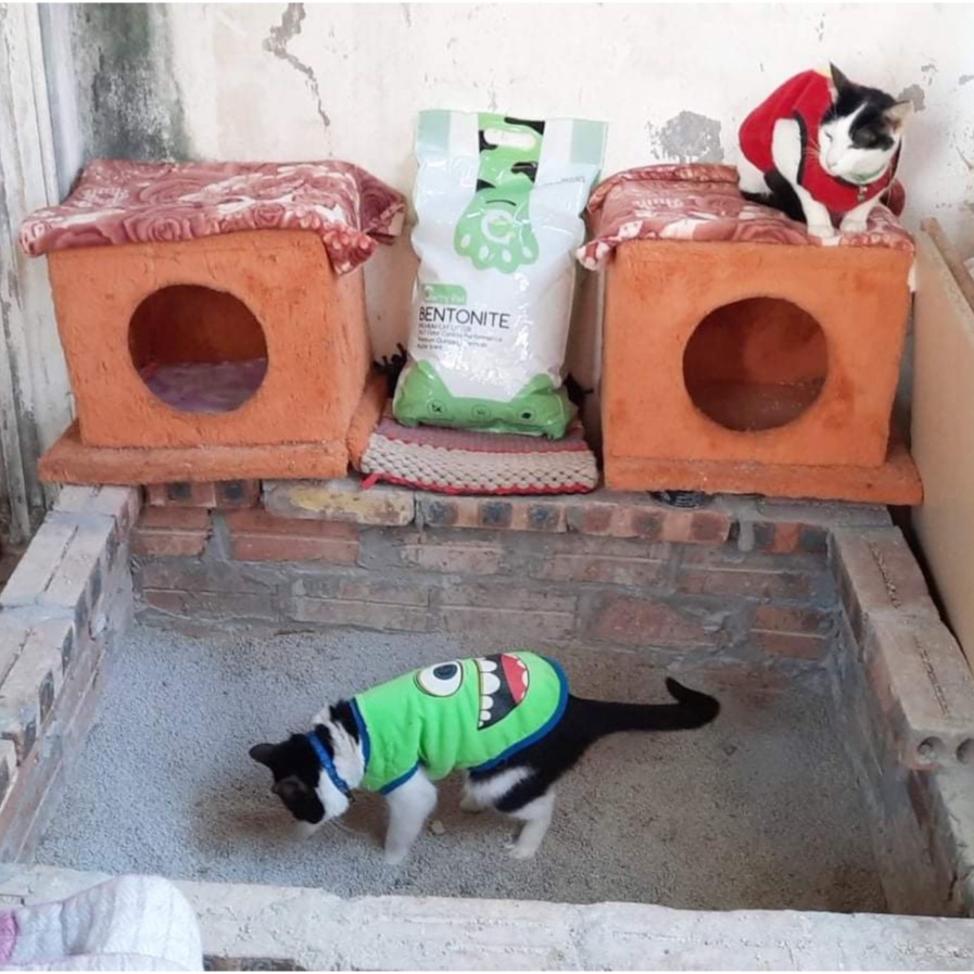 Cát Vệ Sinh Cho Mèo Gerry Pet túi 15L ⚡️Ship Hỏa Tốc Nhận Ngay tại Hà Nội