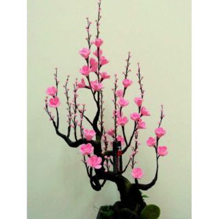 Set hoa đào nụ hồng