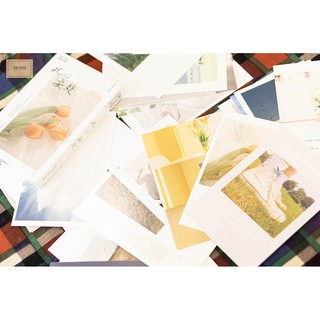 Bộ Postcard Feel Me màu sắc