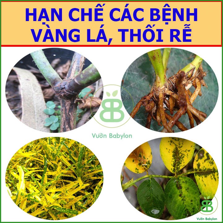 Phân Hữu Cơ Sinh Học Bình Điền