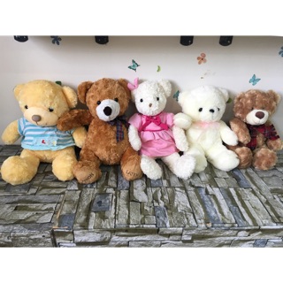 Set gấu teddy 5 con size 38-50cm