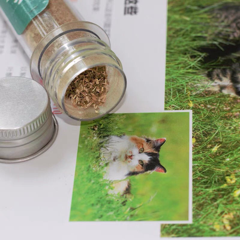 Cỏ khô Catnip - Cỏ bạc hà dạng ống cho mèo