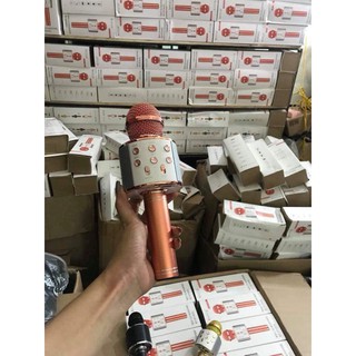 Micro karaoke WS 858 cao cấp