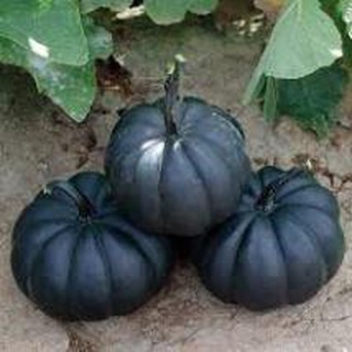 Bí đỏ da xanh siêu ngọt 10 hạt