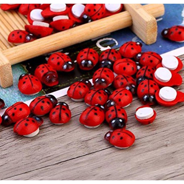 ❤❤Bọ Rùa Gỗ Dễ Thương❤❤ Phụ Kiện Trang Trí Tiểu Cảnh Sen Đá, Terrarium, Decord Mô Hình