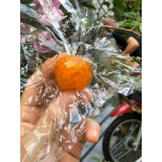 🍊🍊🍊MỨT TẮC QUẤN ( trái nguyên) hộp 450gr