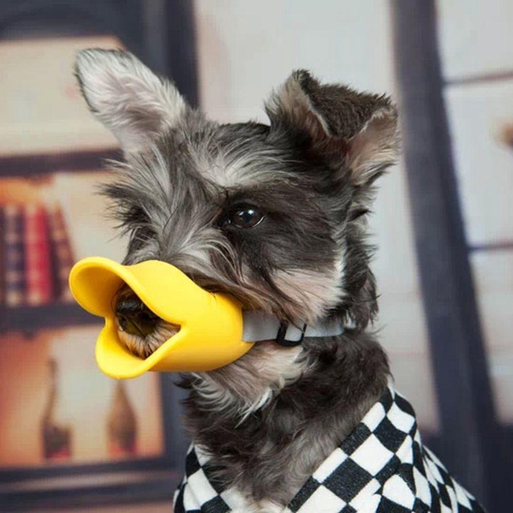 [COD] Rọ Mõm Chó Bằng Da Thoáng Khí Chống Cắn Có Thể Điều Chỉnh