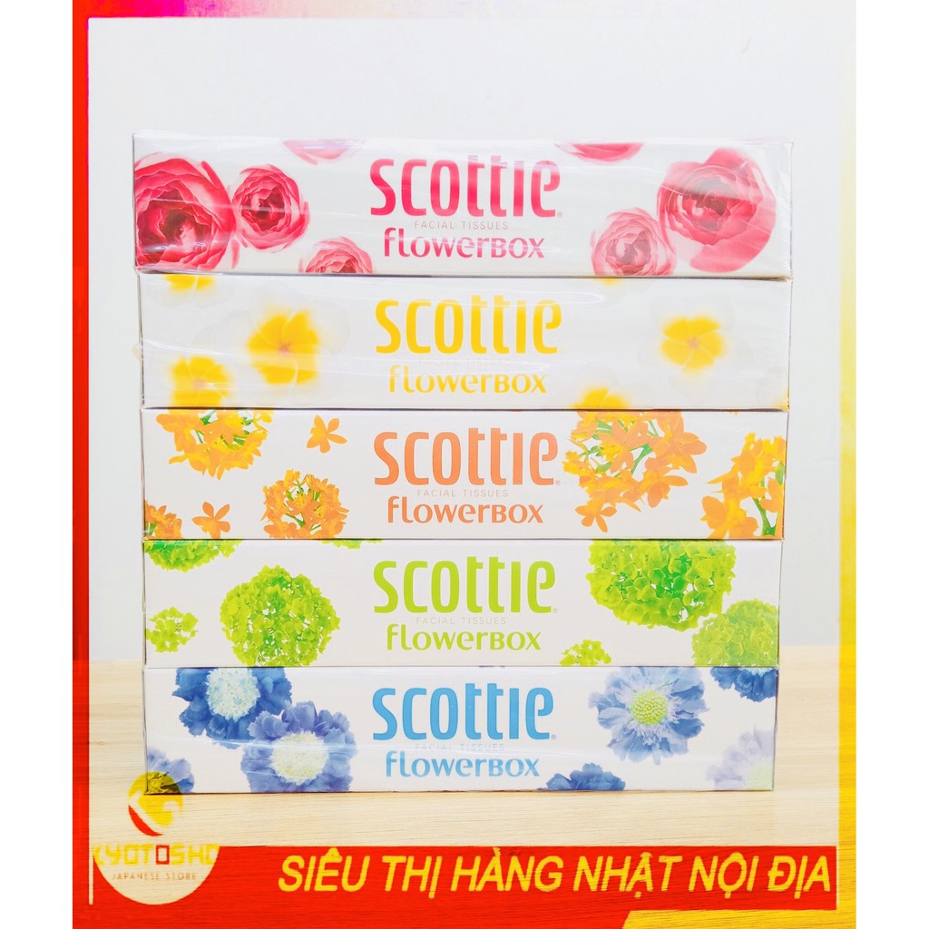 Giấy ăn Scottie set 5