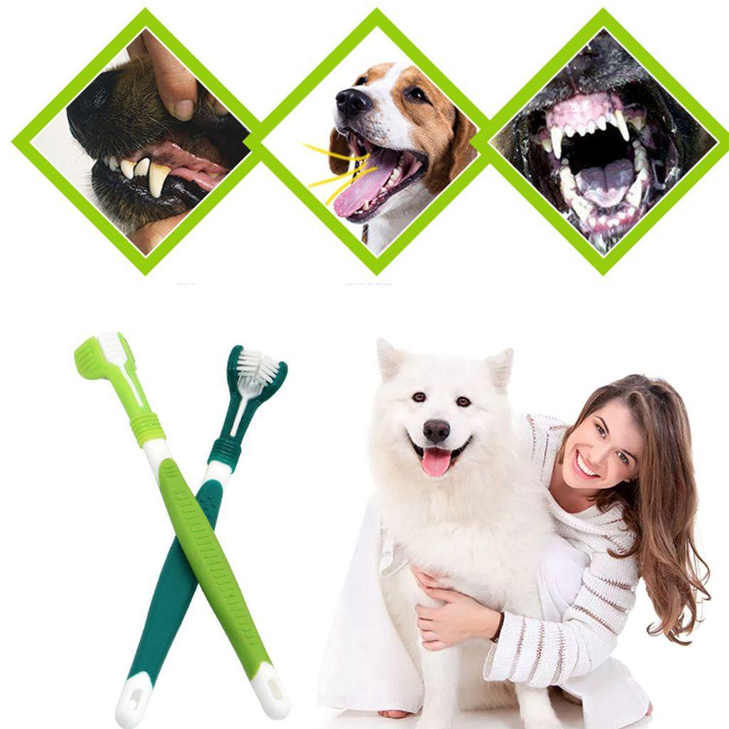 1 Bàn Chải Đánh Răng Với Tay Cầm Bảo Vệ Răng Miệng Ba Đầu Chăm Sóc Răng Miệng Cho Chó