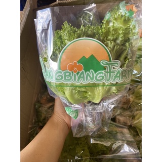 Xà lách thủy tinh ĐÀ LẠT - Xà lách thủy canh