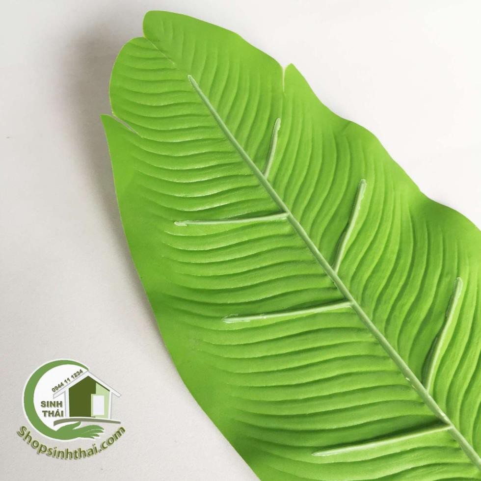 Lá cây trang trí - phụ kiện lá cây chụp hình ảnh sản phẩm - chọn mẫu