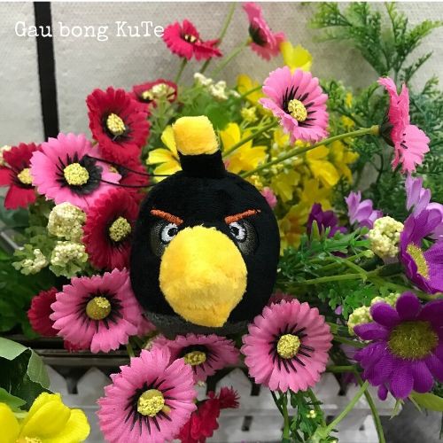 Gấu bông - Angry bird móc khóa