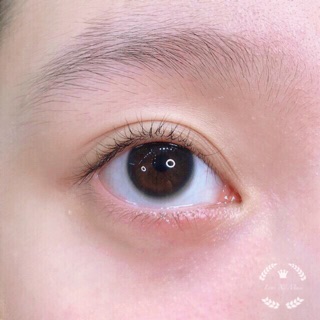 Lens Mắt Màu Xám Giãn Nhỏ Mini Ring Có Cận