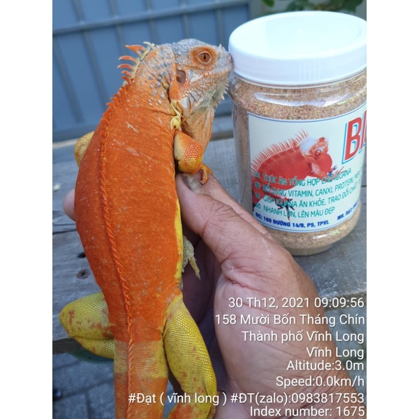 Thức ăn Cho iguana BIG 300g