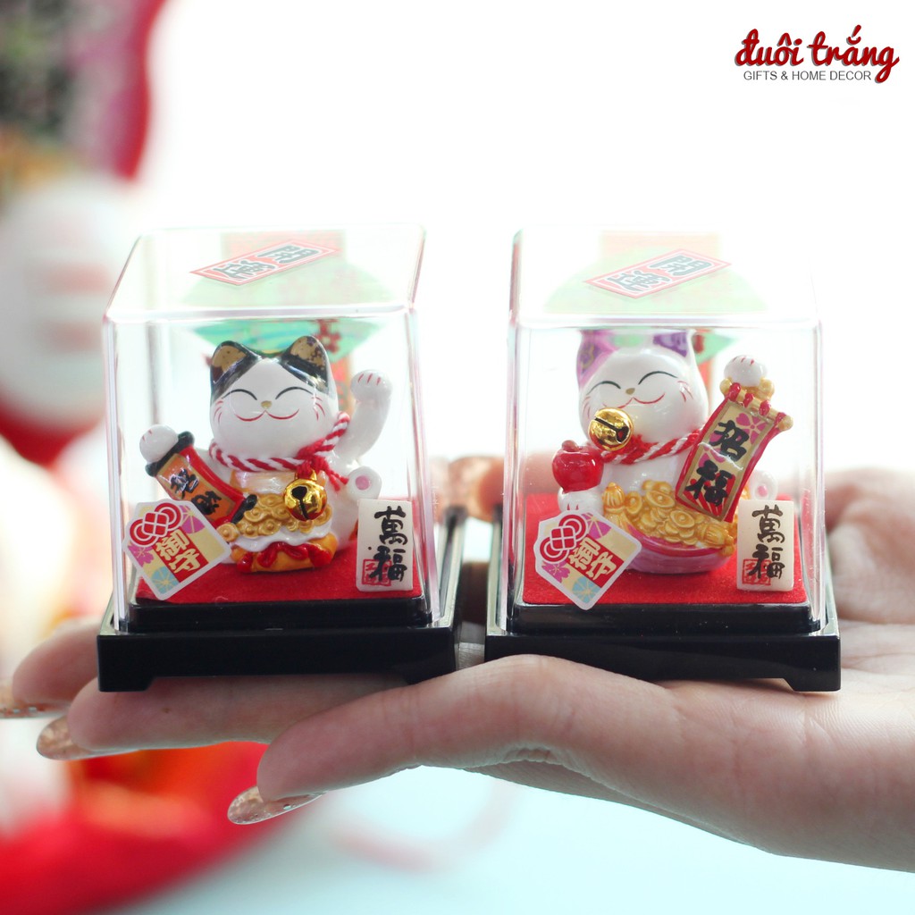 Mèo Thần tài Jinshi ngồi Hộp cỡ nhỏ 6cm - 6 mẫu