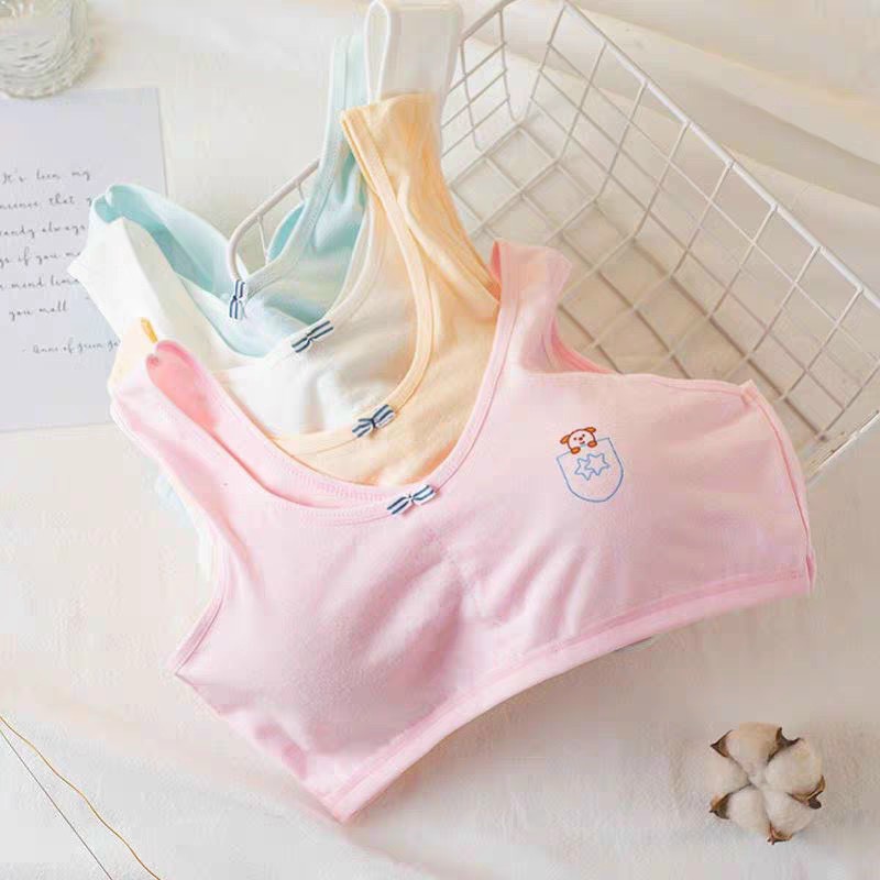 Áo Lót Học Sinh - Áo Ngực Bra Chất Cotton Đẹp Học Sinh Hình Gấu Dễ Thương Size 30-50kg 330