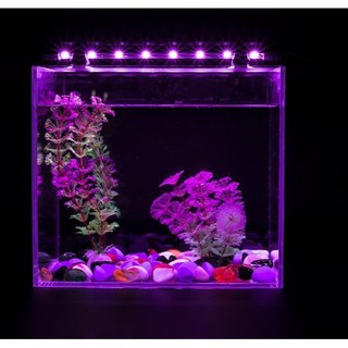 Đèn led chìm nước hồ cá