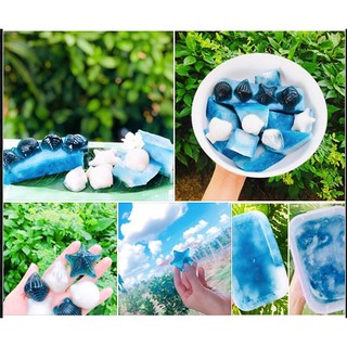 100 Hạt hoa đậu biếc tỷ lệ nảy 90%