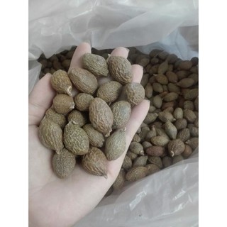 100gr hạt ươi bay hàng chuẩn