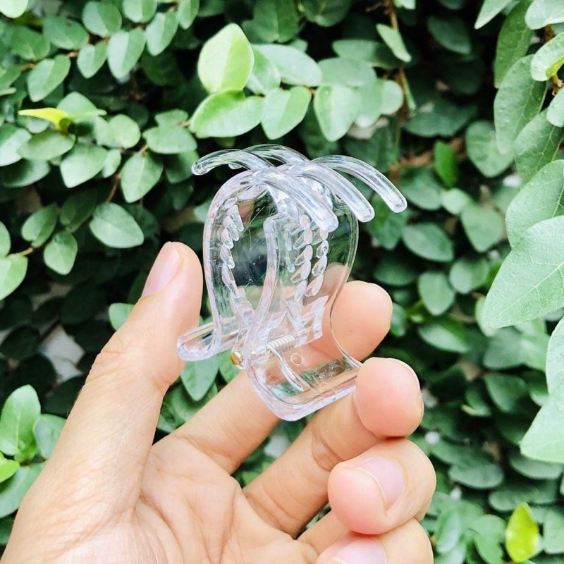 Kẹp càng cua trong suốt, cặp tóc trong suốt Hàn Quốc chắc chắn đẹp cho nữ cào 3 răng, 5 răng