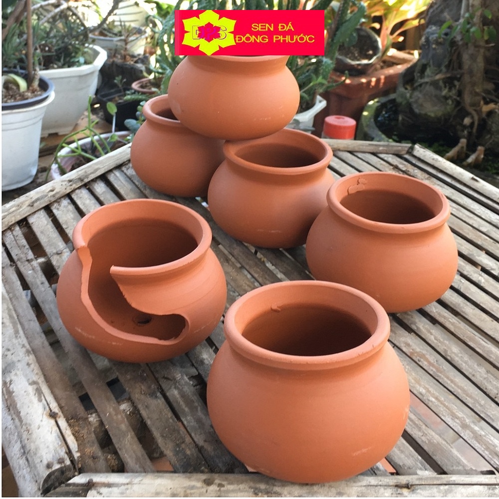 Chậu đất nung hình chum bầu tròn nhỏ 8x8cm - chậu trồng tiểu cảnh sen đá, xương rồng, cây phong thuỷ văn phòng