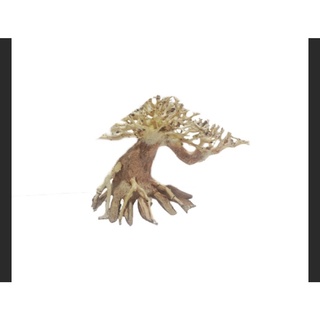 LŨA BONSAI hồ cá TL01