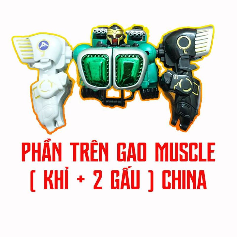 Phần trên gao muscle