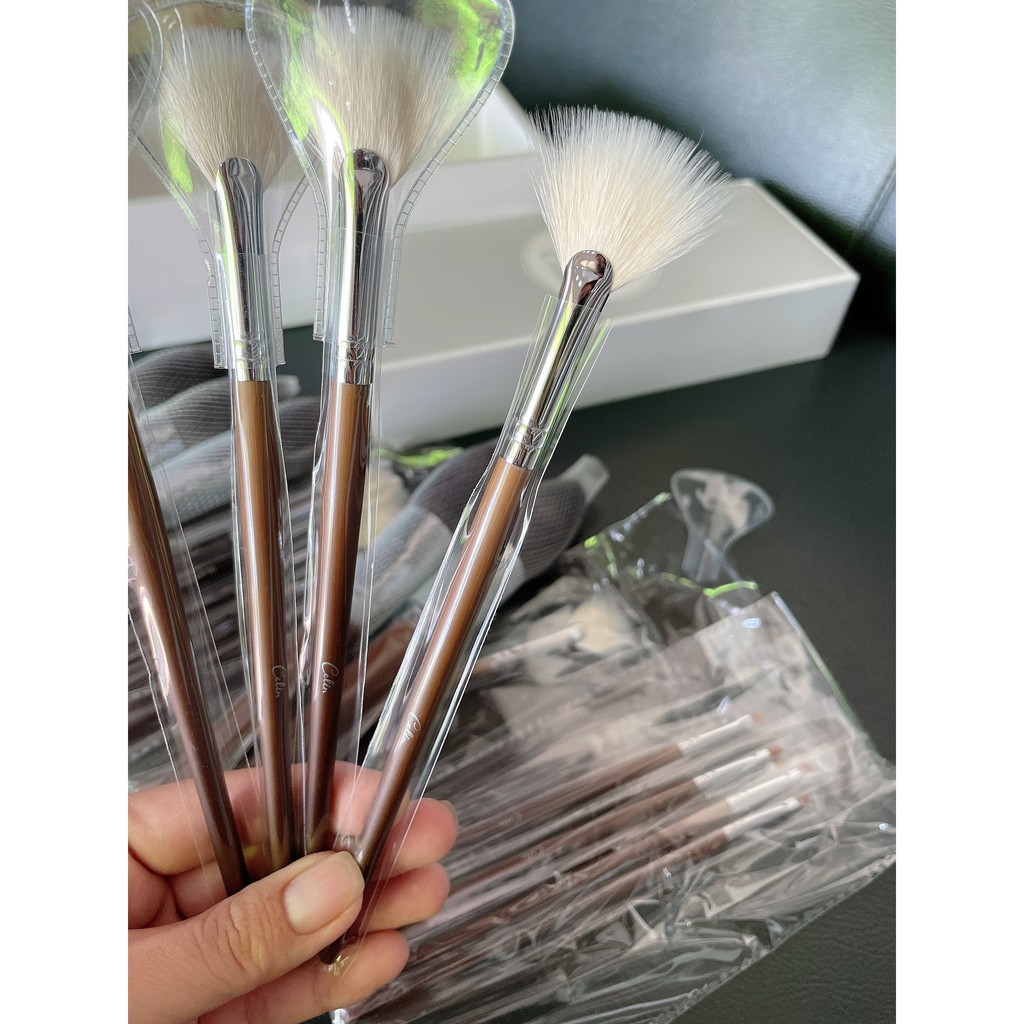 Cọ lẻ Celin_Cọ quạt nhỏ