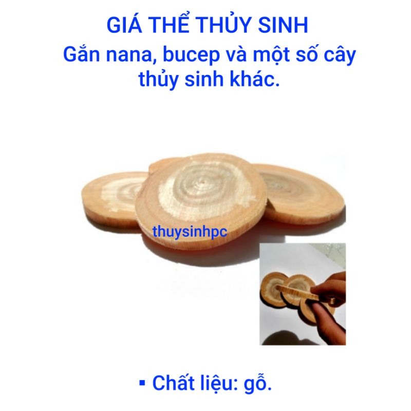 Giá Thể Thủy Sinh cố định cây thủy sinh giúp cây không di chuyển trong hồ