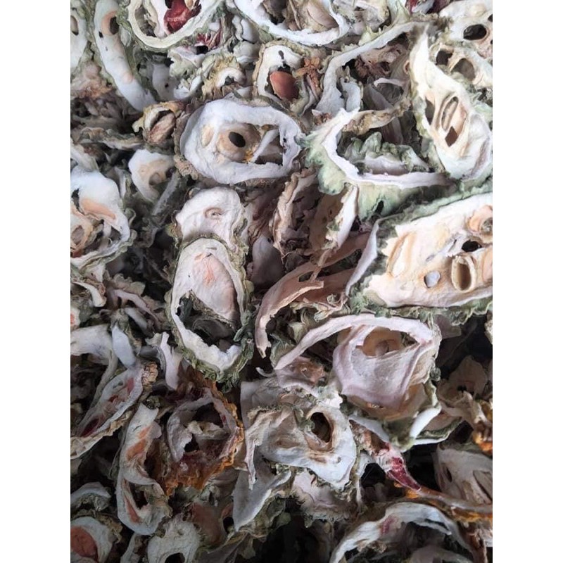 Mướp Đắng Rừng | Khổ Qua Rừng | Gói 1000gram| Hàng Mới | BigBuy360 - bigbuy360.vn