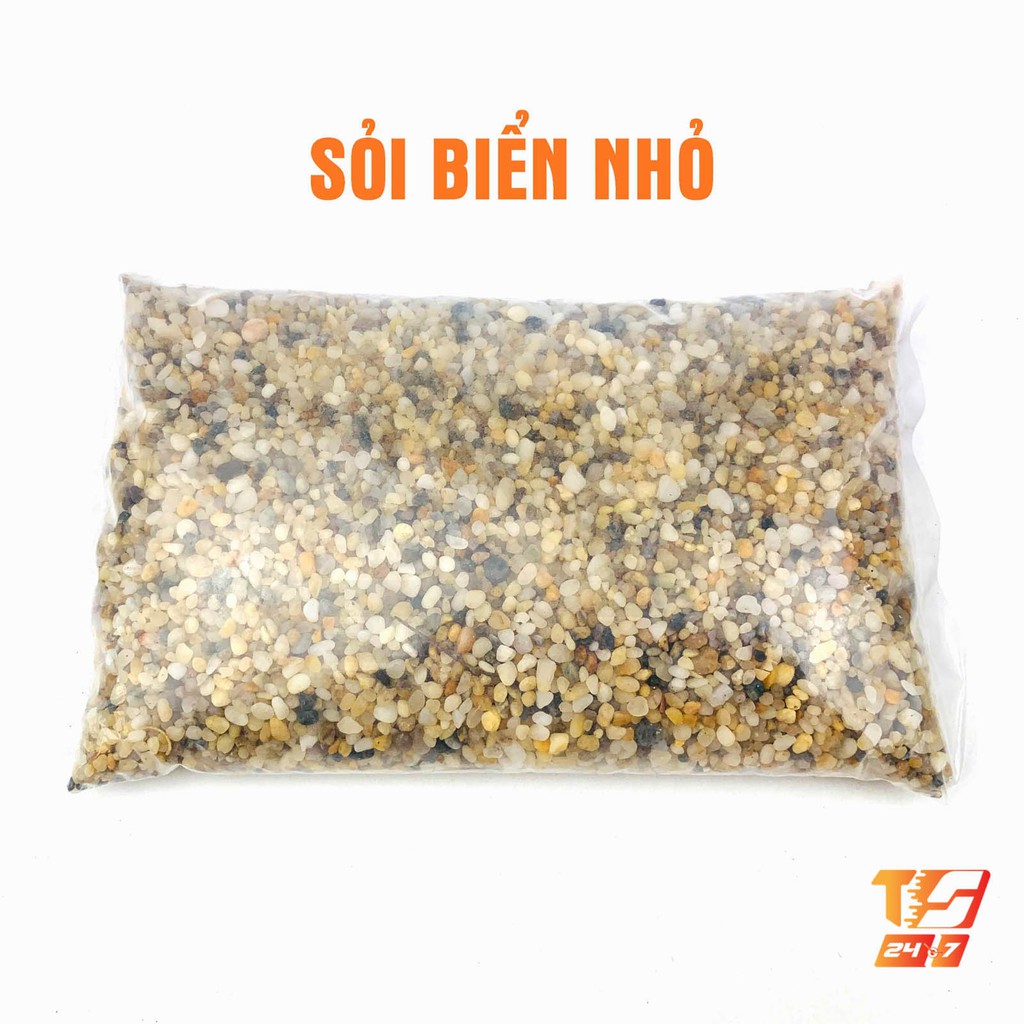 Sỏi Biển Trang Trí Hồ Cá, Bể Thủy Sinh - Tiểu Cảnh Sân Vườn, Lót Chậu