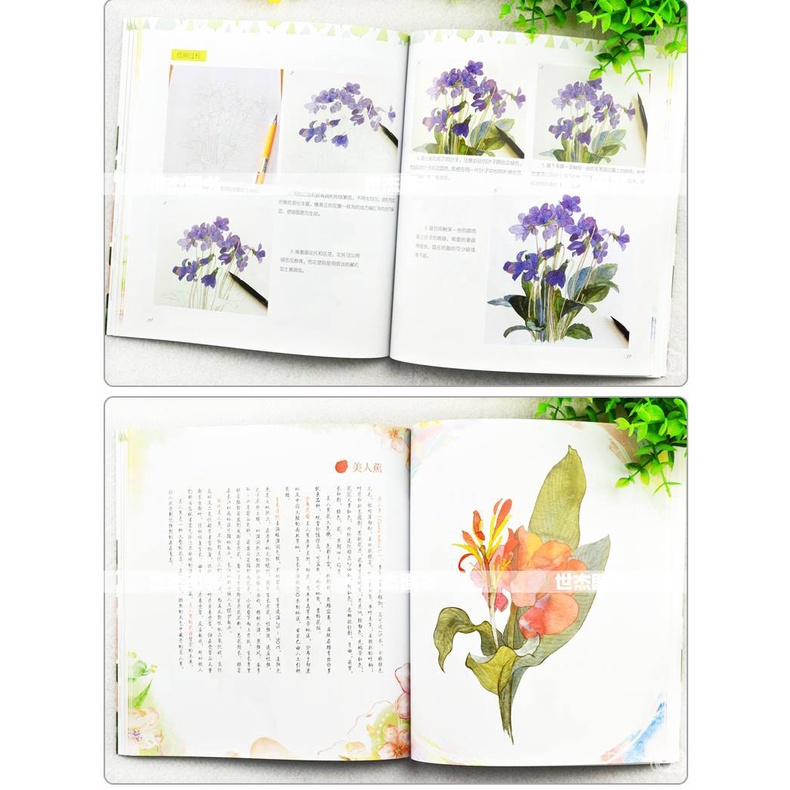 Tranh minh họa Trung Quốc hoa và lá - Vở tập vẽ "Thi Tình Hoa Ý" của tác giả A Hân