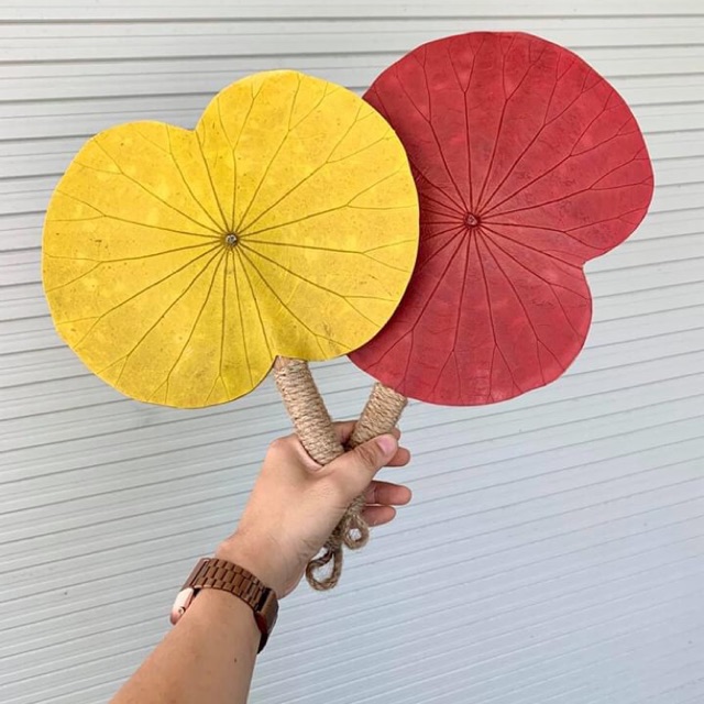Quạt làm bằng lá sen thật - quà tặng hoặc decor