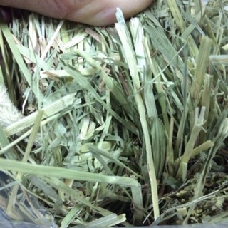 Cỏ Khô Timothy Cao Cấp A + (1KG)