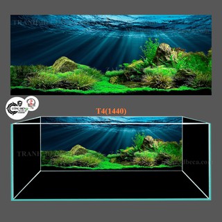Tranh dán hồ cá thuỷ sinh ,có keo sẵn, nhiều kích thướt chọn lựa