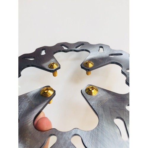 Ốc thắng đĩa màu vàng 4con