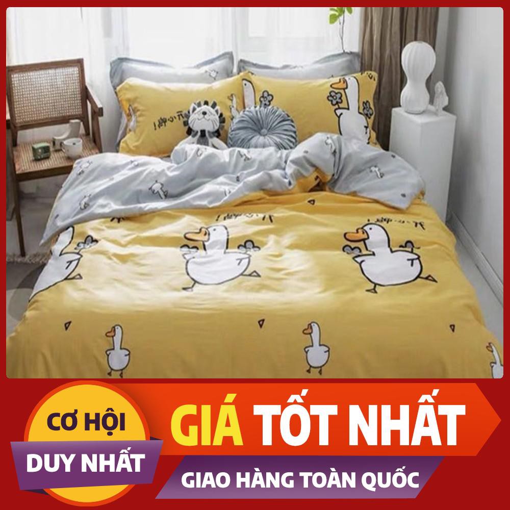 Bộ vỏ chăn ga gối chất cotton poly họa tiết vịt bầu