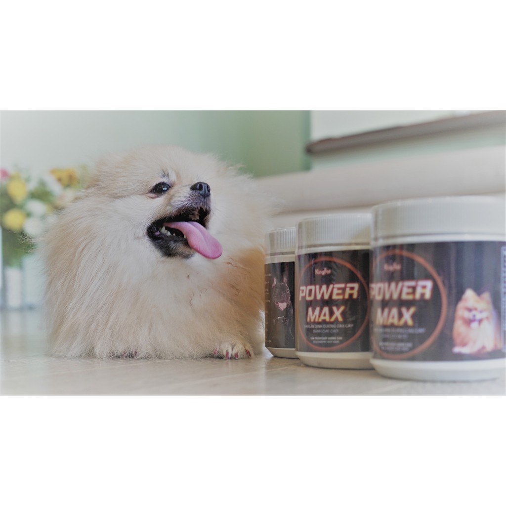 Bột Dinh Dưỡng dành cho chó kén ăn Power Max