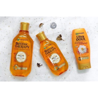 Bộ dầu gội, xả Garnier Wahre Schätze Argan tinh dầu & hoa Camelia