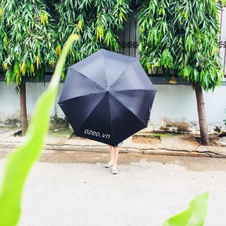 Dù Đi Mưa Tự Động Một Chiều Đen