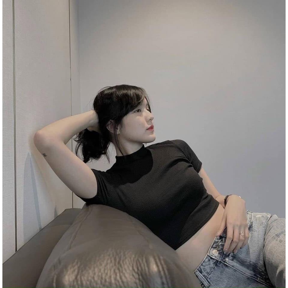 Áo Croptop Nữ Cổ 3 Phân - Áo Ngắn Trơn Nữ Cộc Tay